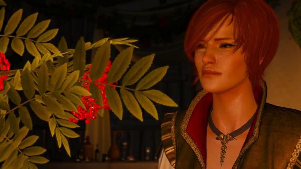 Модель снялась в образе очаровательной Шани из третьего «Ведьмака»