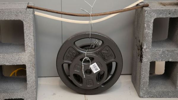 В США в продажу поступила «супердревесина» — в строительстве она заменит сталь